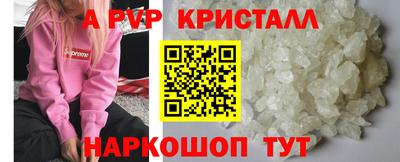 прущие грибы Будённовск