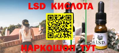 прущие грибы Будённовск