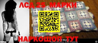 прущие грибы Будённовск