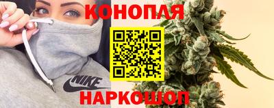 прущие грибы Будённовск