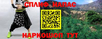 прущие грибы Будённовск
