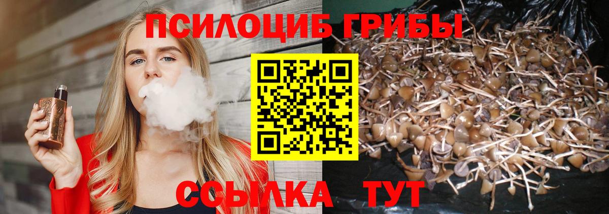 Псилоцибиновые грибы Magic Shrooms Лянтор